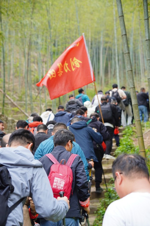 【烏峰探秘 綠動創(chuàng)力】創(chuàng)力集團成功舉辦2026年春季徒步活動(圖6)